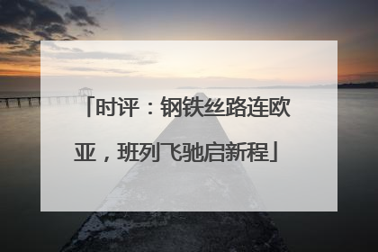时评：钢铁丝路连欧亚，班列飞驰启新程