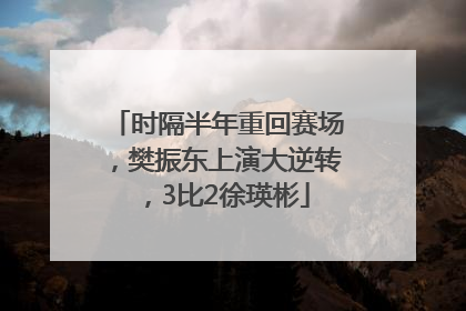 时隔半年重回赛场，樊振东上演大逆转，3比2徐瑛彬