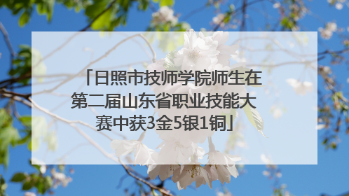 日照市技师学院师生在第二届山东省职业技能大赛中获3金5银1铜