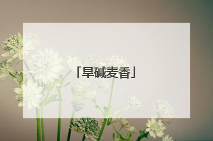 旱碱麦香
