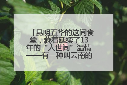 昆明五华的这间食堂，藏着延续了13年的“人世间”温情——有一种叫云南的生活之365天