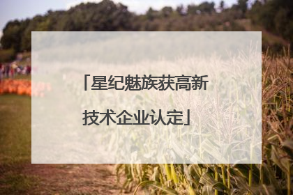 星纪魅族获高新技术企业认定