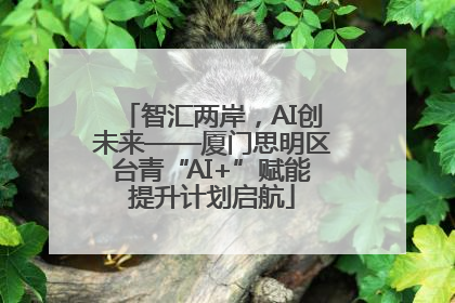 智汇两岸，AI创未来——厦门思明区台青“AI+”赋能提升计划启航