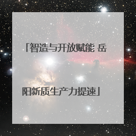 智造与开放赋能 岳阳新质生产力提速