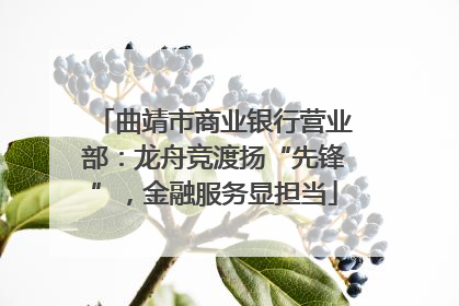 曲靖市商业银行营业部：龙舟竞渡扬“先锋”，金融服务显担当
