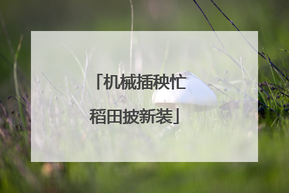 机械插秧忙 稻田披新装