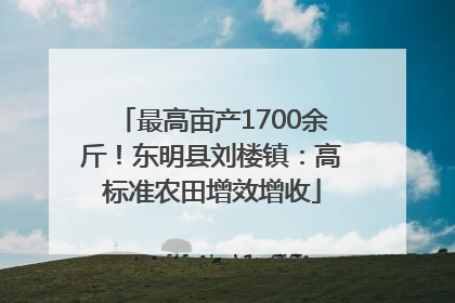 最高亩产1700余斤！东明县刘楼镇：高标准农田增效增收