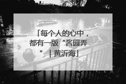 每个人的心中，都有一版“酱园弄”｜黄沂海