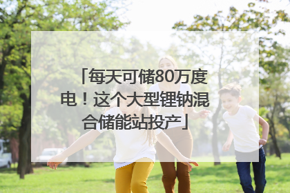 每天可储80万度电！这个大型锂钠混合储能站投产