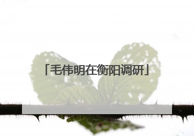 毛伟明在衡阳调研