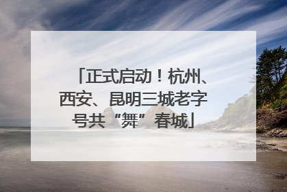 正式启动！杭州、西安、昆明三城老字号共“舞”春城