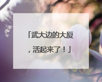 武大边的大厦，活起来了！