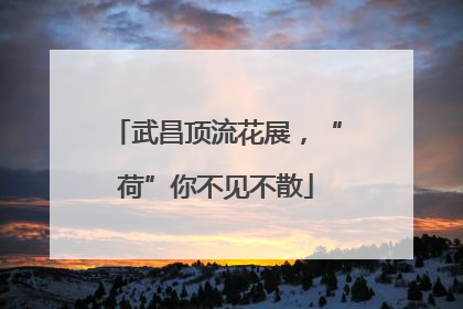 武昌顶流花展，“荷”你不见不散