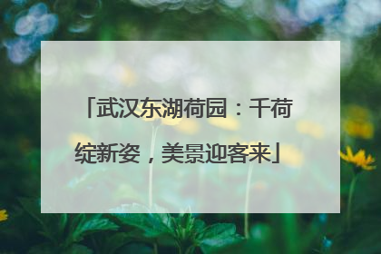 武汉东湖荷园：千荷绽新姿，美景迎客来