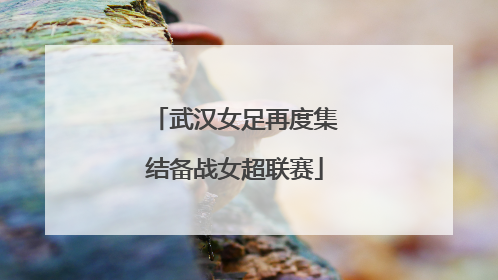 武汉女足再度集结备战女超联赛