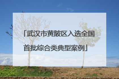 武汉市黄陂区入选全国首批综合类典型案例