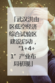 武汉洪山区低空经济综合试验区建设启动，“1+4+1”产业布局初现