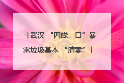 武汉 “四线一口”暴露垃圾基本 “清零”