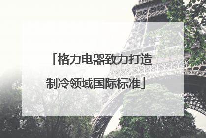 格力电器致力打造制冷领域国际标准