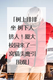 树上排排坐 树下人挤人！厦大校园来了一窝猫头鹰引围观