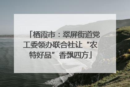 栖霞市：翠屏街道党工委领办联合社让“农特好品”香飘四方