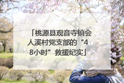 桃源县观音寺镇会人溪村党支部的“48小时”救援纪实