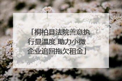 桐柏县法院善意执行显温度 助力小微企业追回拖欠租金