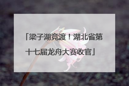 梁子湖竞渡！湖北省第十七届龙舟大赛收官