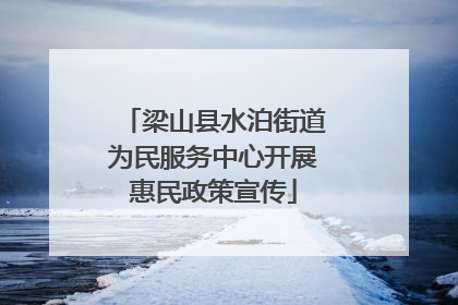 梁山县水泊街道为民服务中心开展惠民政策宣传