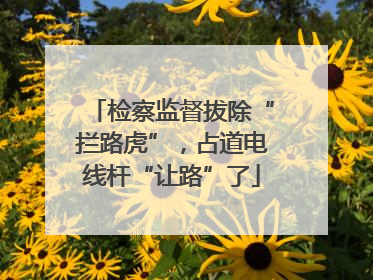检察监督拔除“拦路虎”，占道电线杆“让路”了