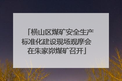 横山区煤矿安全生产标准化建设现场观摩会在朱家峁煤矿召开