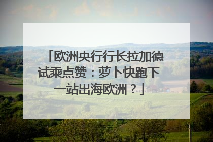 欧洲央行行长拉加德试乘点赞：萝卜快跑下一站出海欧洲？