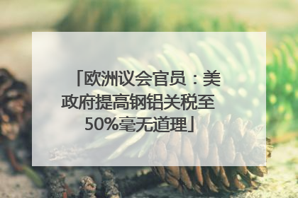 欧洲议会官员：美政府提高钢铝关税至50%毫无道理