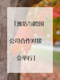 潍坊与跨国公司合作对接会举行