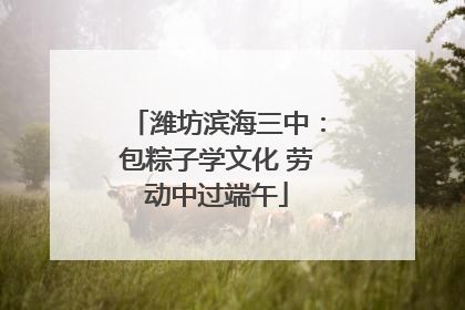 潍坊滨海三中：包粽子学文化 劳动中过端午