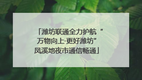 潍坊联通全力护航“万物向上·更好潍坊”凤溪地夜市通信畅通