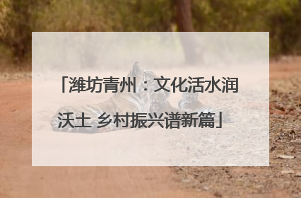潍坊青州：文化活水润沃土 乡村振兴谱新篇