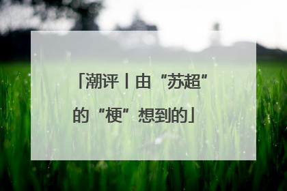 潮评丨由“苏超”的“梗”想到的