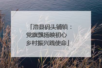 澧县码头铺镇：党旗飘扬映初心 乡村振兴践使命
