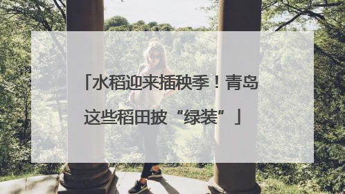 水稻迎来插秧季！青岛这些稻田披“绿装”