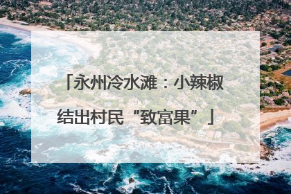 永州冷水滩：小辣椒结出村民“致富果”