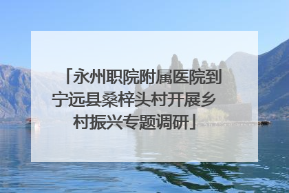 永州职院附属医院到宁远县桑梓头村开展乡村振兴专题调研