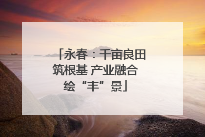 永春：千亩良田筑根基 产业融合绘“丰”景