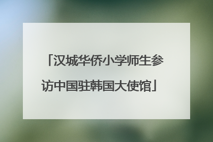 汉城华侨小学师生参访中国驻韩国大使馆