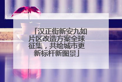 汉正街新安九如片区改造方案全球征集，共绘城市更新标杆新图景