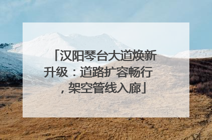 汉阳琴台大道焕新升级：道路扩容畅行，架空管线入廊