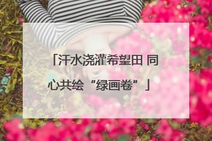 汗水浇灌希望田 同心共绘“绿画卷”