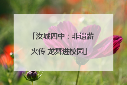 汝城四中：非遗薪火传 龙舞进校园