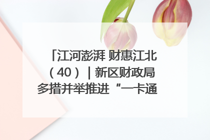 江河澎湃 财惠江北（40）｜新区财政局多措并举推进“一卡通”管理 保障惠民惠农补贴精准高效发放