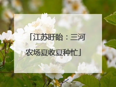 江苏盱眙：三河农场夏收夏种忙